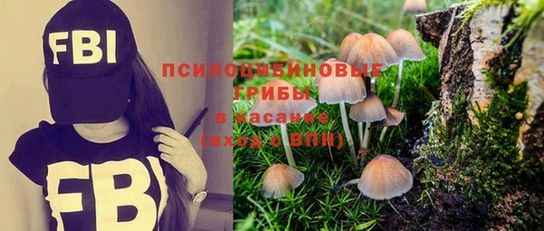 ешки Вязники