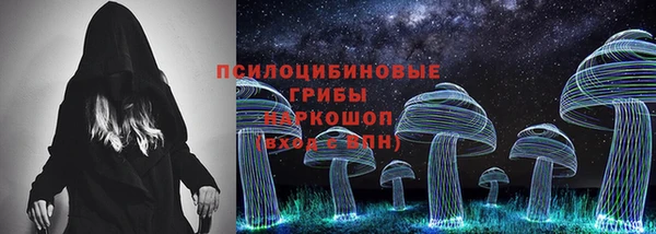 прущий лед Горняк